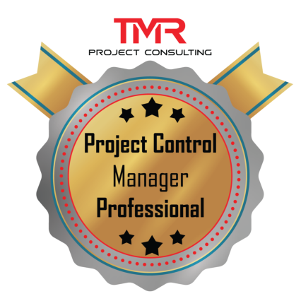 Project Control Manager Professional